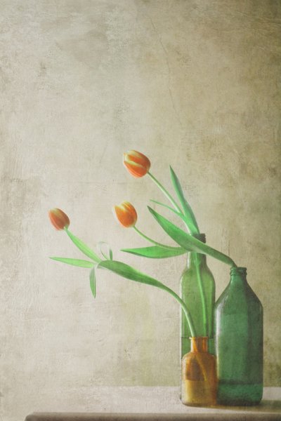  av Delphine Devos