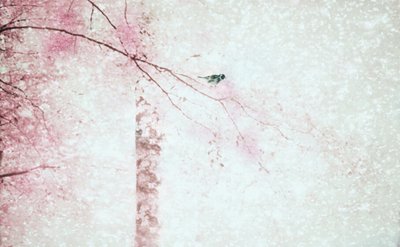 Fågel med rosa blommor av Delphine Devos