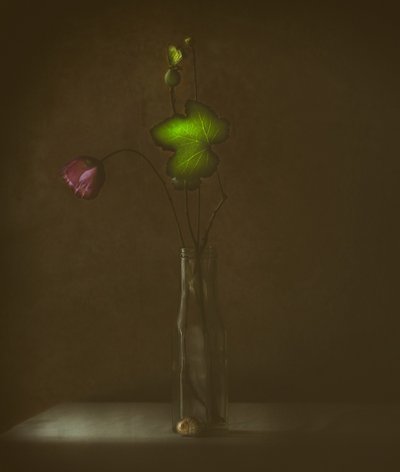 Tyst blomning och blad av Delphine Devos