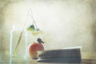 Snigel Äpple En stunds stillhet av Delphine Devos