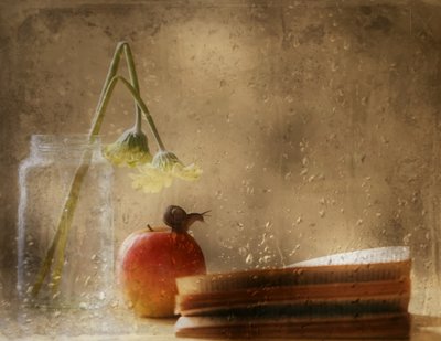 Snigel på ett äpple en regnig dag av Delphine Devos