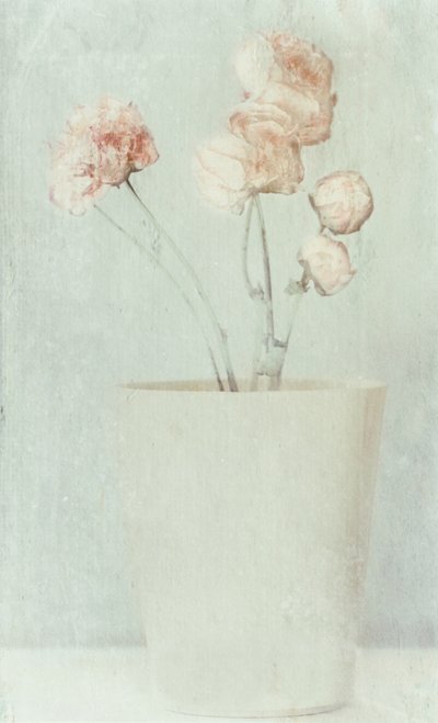 Mjuka, blekta blommor av Delphine Devos