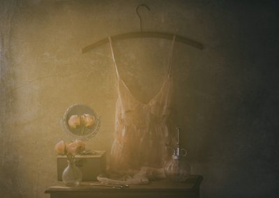 Vintage-underkläder i boudoir-stil av Delphine Devos