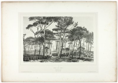 swedish av Denis Auguste Marie Raffet