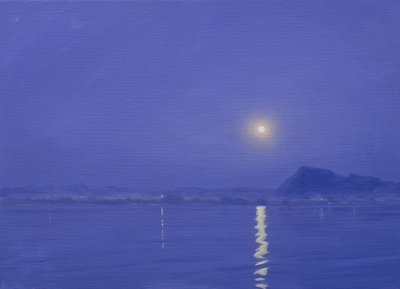 Månsken över Udaipur av Derek Hare