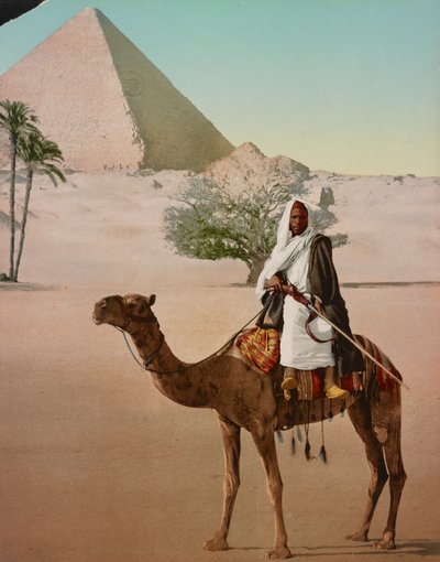 Beduin på en kamel och den stora pyramiden, Kairo, Egypten av Detroit Photographic Co.