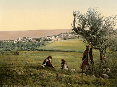 Allmän vy, Cana of Galilee, Heliga landet, ca 1890-1900 (fotokromavtryck) av Detroit Publishing Co.
