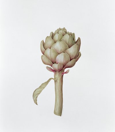 Kronärtskocka, 1999 av Diana Everett