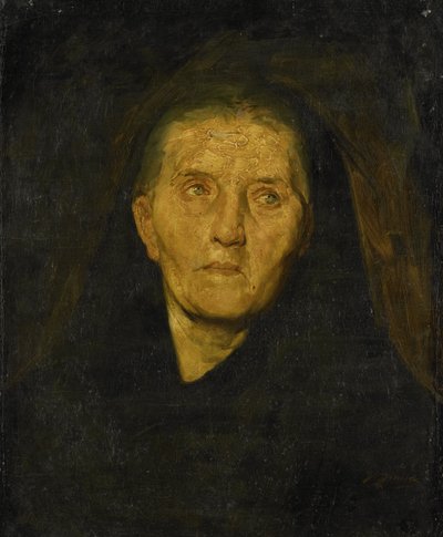  av Diederik Franciscus Jamin