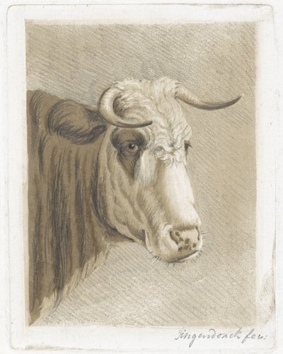 kakkopp av Diederik Jan Singendonck (signed by artist)