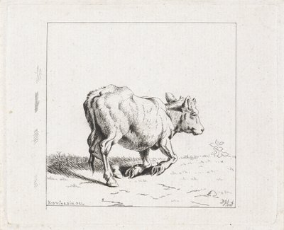 Stigande kalv av Diederik Jan Singendonck