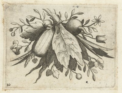 Festoen van Vrutten Liten fruktbok användbar för resor (serietitel) av Dietrich Krüger (attributed to)