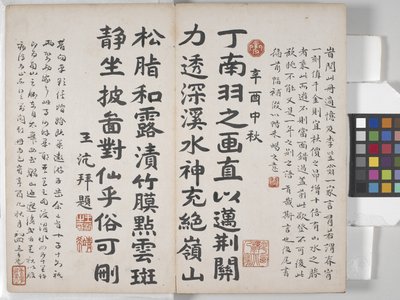 Album Of Landscape Paintings (bläck på papper) av Ding Yunpeng