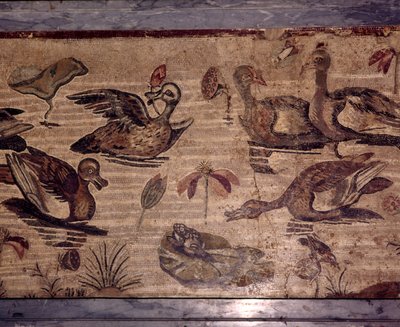 Romersk mosaik från Pompeji av ankor och grodor i en vattenträdgård, 1:a århundradet av Dioscurides of Samos