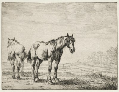 Två ploghästar. av Dirck Stoop
