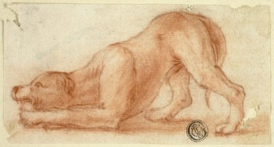 Hoppande lurvig hund av Dirk Valkenburg