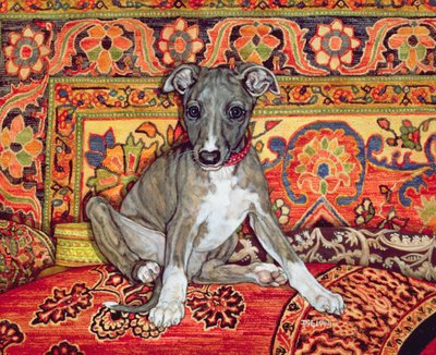 My Whippet Baby, 1994 av Ditz