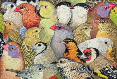 Patchwork-Birds, 1995 (akryl på panel) av Ditz