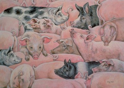 Pig-Spread av Ditz