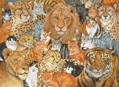 Semi Wild Cat Spread av Ditz
