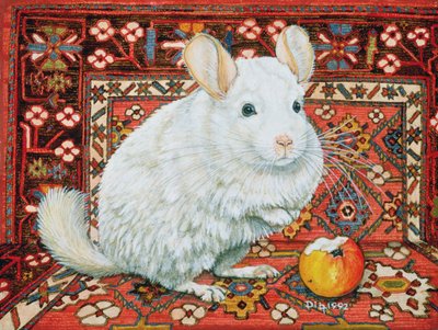 Mattan-Chinchilla, 1992 av Ditz