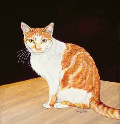 Thomas av Ditz