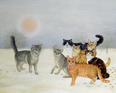 Vinter-katter av Ditz