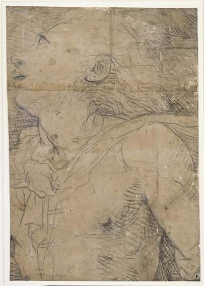 Uppblicande ung man (halvfigur), fragment av en kartong av Domenico Beccafumi