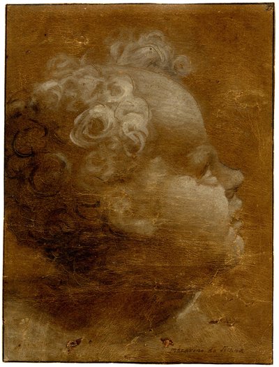 Beccafumi - Huvud av ett barn som tittar upp, i profil åt höger Penselteckning i gråbrun och vit olja, på brunt preparerat papper, med linjer indragna, 1528 (cirka) av Domenico Beccafumi