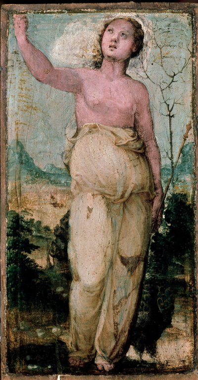 Kvinnlig figur. Målning av Domenico Beccafumi (1486-1551). Siena, konservatoriet av Domenico Beccafumi