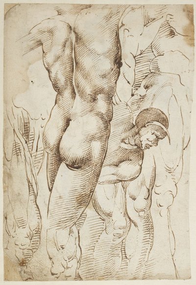 Studier av ben och manliga nakenstudier av Domenico Beccafumi