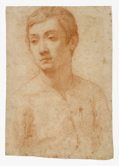O Le Ulu o se Autalavou, c.1600-25 (sisina mumu i luga o le pepa faataatia) togi av Domenico Cresti