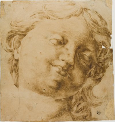 Huvudet på ett barn av Domenico Peruzzini