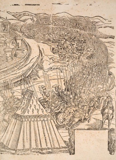 Capture of Goleta in Tunis av Carl V av Domenico dei Franceschi