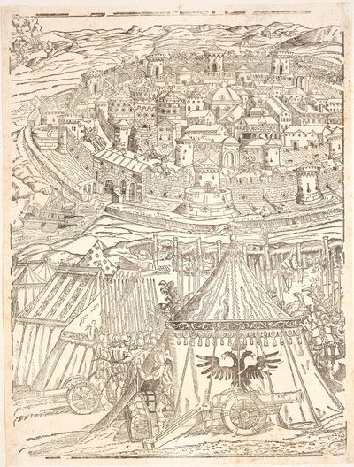 Capture of Goleta in Tunis av Carl V av Domenico dei Franceschi