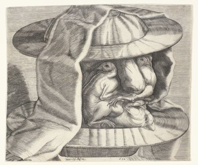 Ett groteskt huvud med en hjälm i stil med Arcimboldo Ett groteskt huvud med hjälm i stil med Arcimboldo av Dominicus Custos