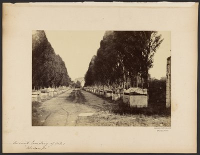[Den antika kyrkogården i Arles, "Alyscamps"] av Dominique Roman