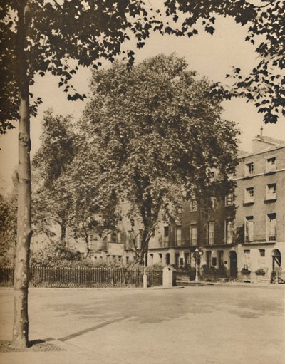 In Boarding-House Land: The Plate Trees of Torrington Square, c1935. av Donald McLeish