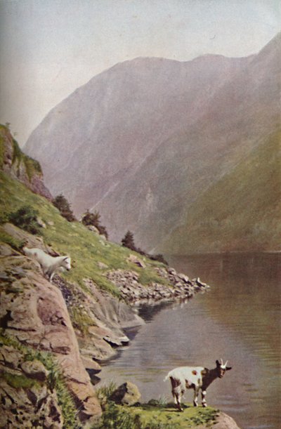 Norge, ca 1930-talet av Donald McLeish