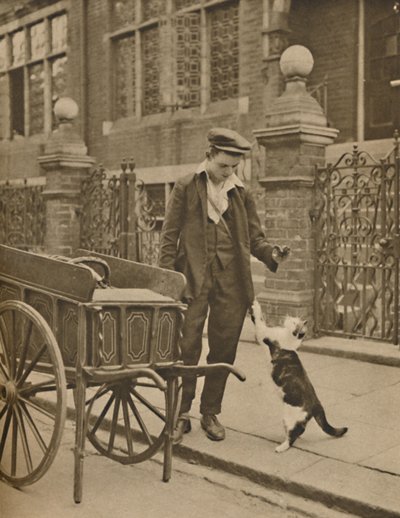 En av de bäst etablerade affärerna: A Customer and the Cats-Meat Man, c1935. av Donald McLeish