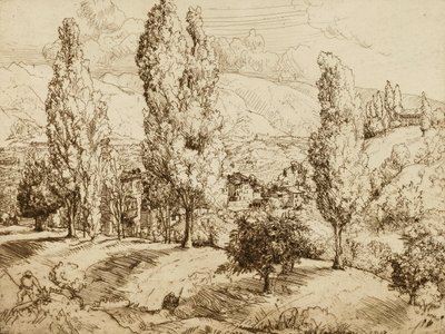 Fälten i Asolo av Donald Shaw MacLaughlan