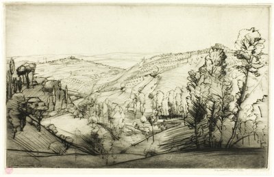 Fälten i San Gimignano av Donald Shaw MacLaughlan