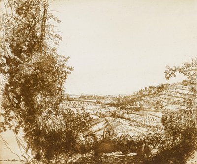 Olivlundar av Donald Shaw MacLaughlan