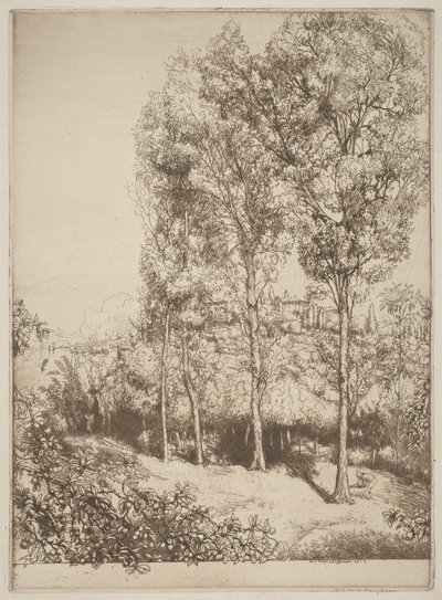 Solljus och skuggor, nr 3 av Donald Shaw MacLaughlan