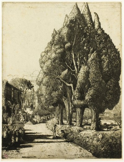 Cypress Grove av Donald Shaw MacLaughlan