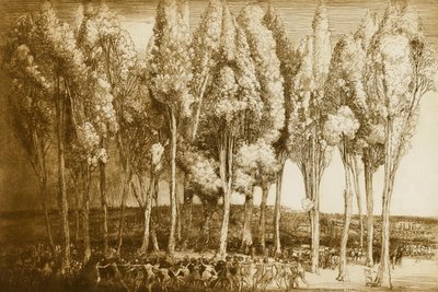 Vårens dans av Donald Shaw MacLaughlan