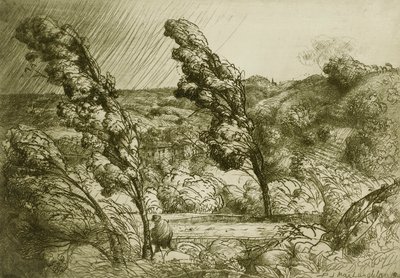 Stormen av Donald Shaw MacLaughlan