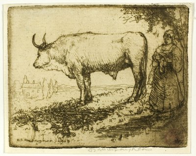 Den vita oxen av Donald Shaw MacLaughlan