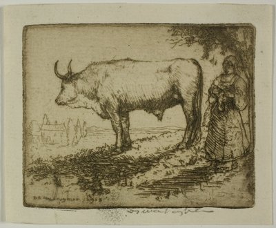 Den vita oxen av Donald Shaw MacLaughlan