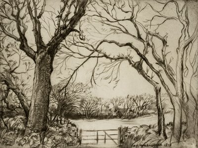 Tragenna Wood av Donald Shaw MacLaughlan